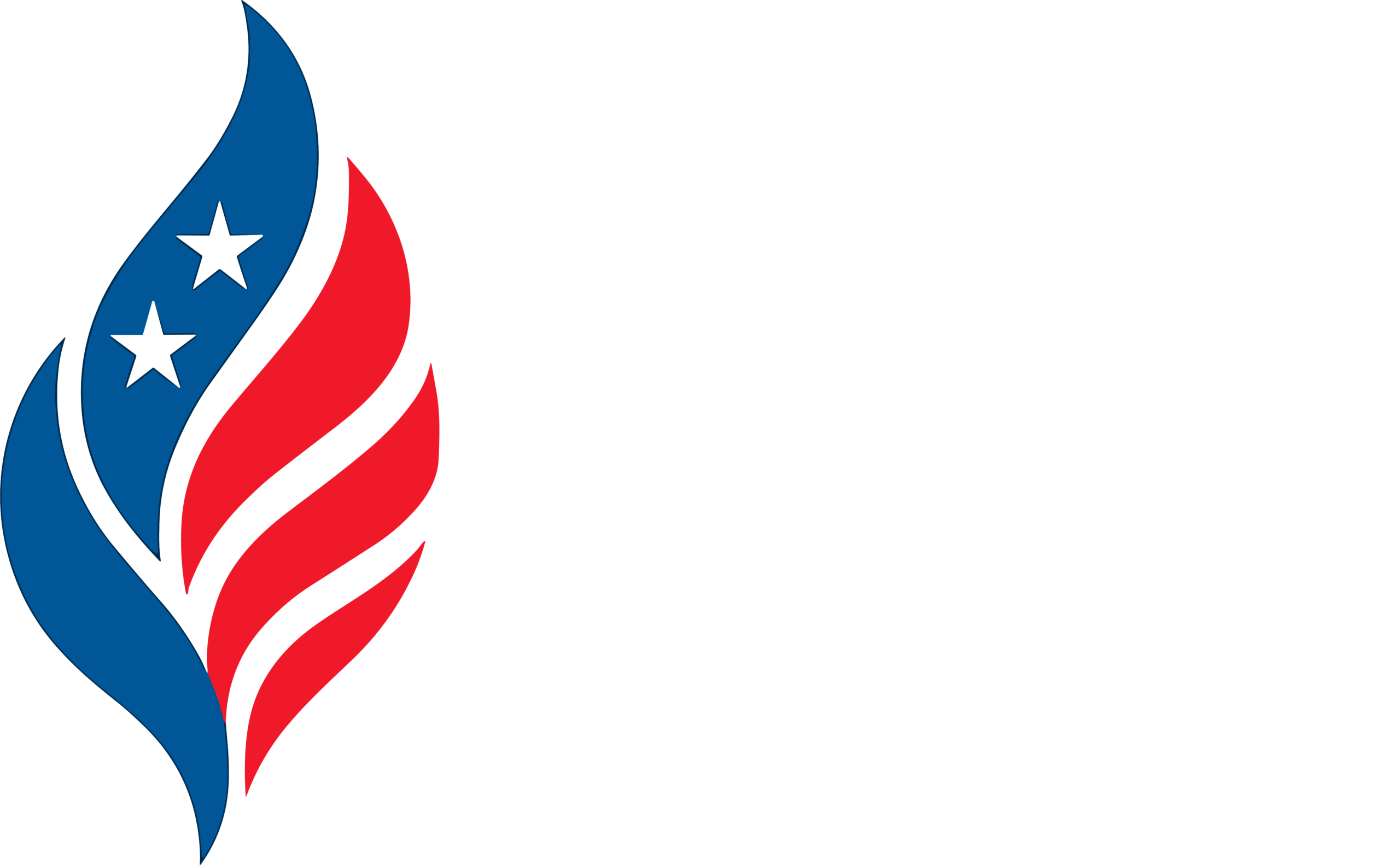 PlanForge Consulting 401(k) Implementation